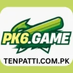 PK 6 game logo image