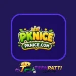 pk nice game official logo image